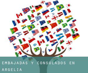 Embajadas y Consulados en Argelia